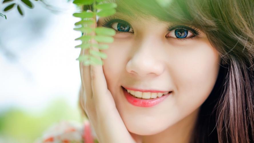 北京市第十五届精品盆景展开幕 “景山消夏夜”将开启